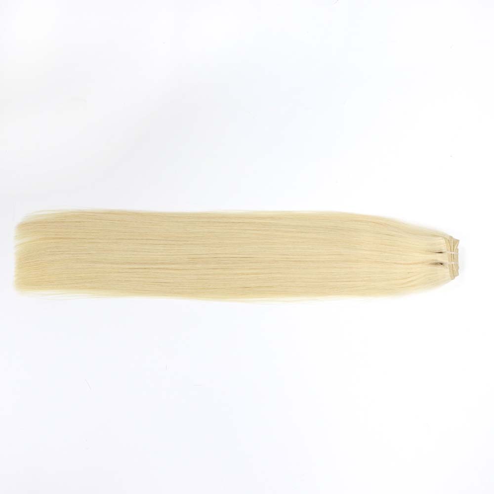 Weft 16 inch Silver Blonde La3 Hair Extensions 4