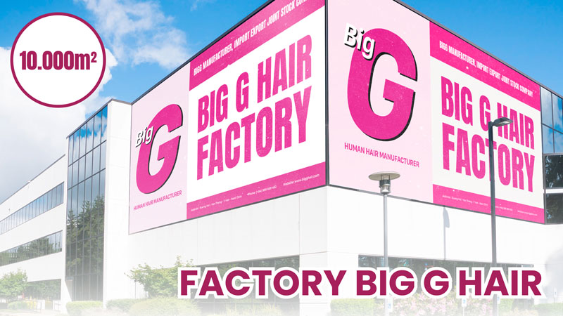 Thumbnail video factory bigg hair